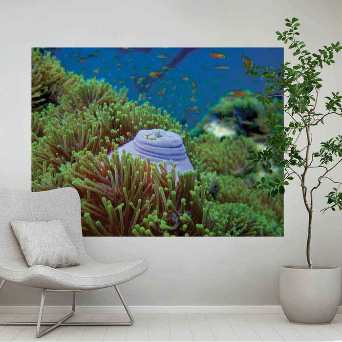 60 inch Scuba Snack Sea bed Decal Installed in Sitting Area