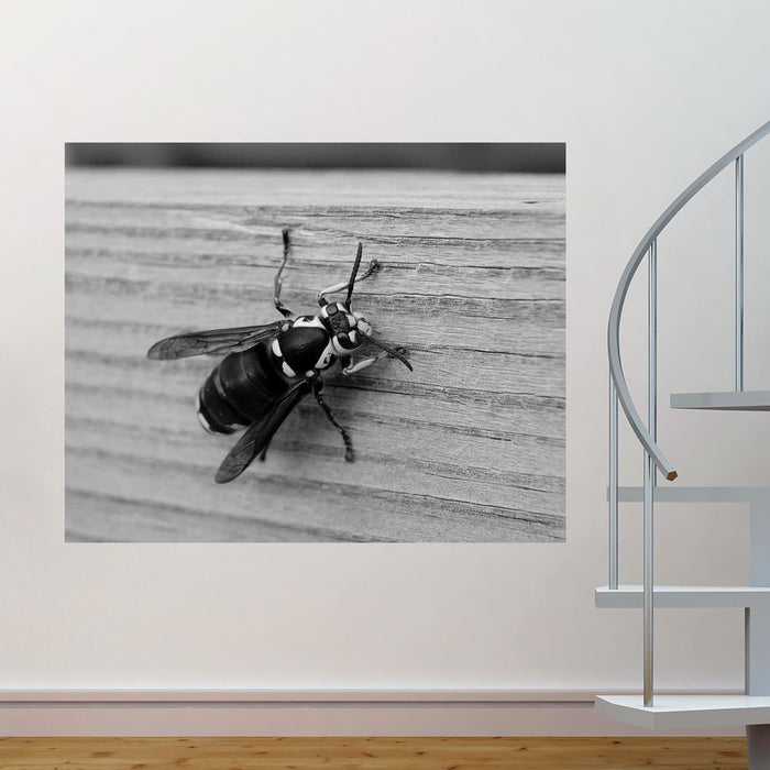 48x60 Bee Wall Decal Installed Near Staircase