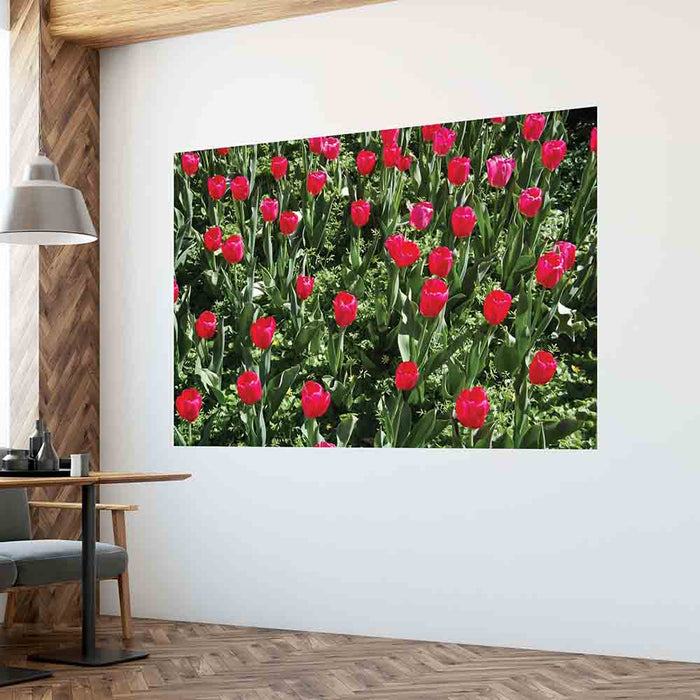 48x72 inch Flowers Poster Displayed in Waiting Room