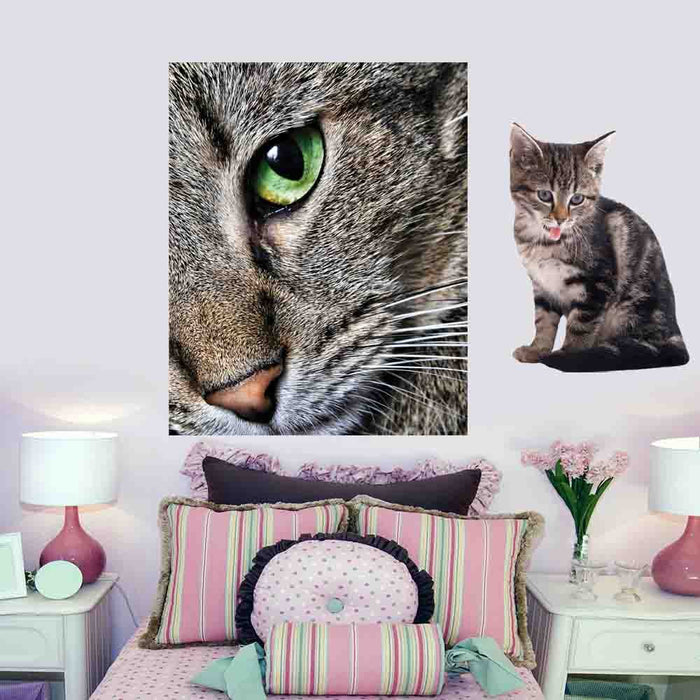 48x60 Max Close Up Cat Poster Displayed in Girls Room