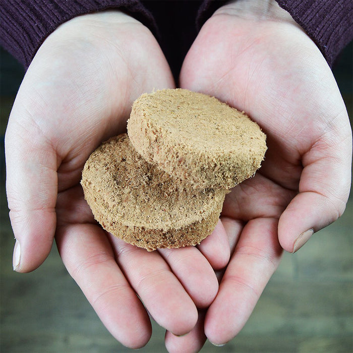 Person holding Beef Freeze-dried Raw Dinner Patties in their hand for size reference.