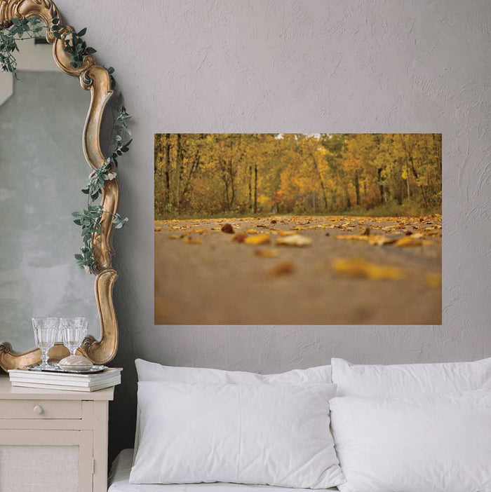 24x36 inch Autumn Road Decal Installed Above Bed