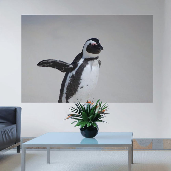 48x72 inch Penguin Waving Poster Displayed in Living Room