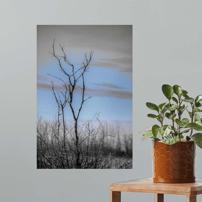 16x24 inch Winter Tree Poster Displayed on Wall