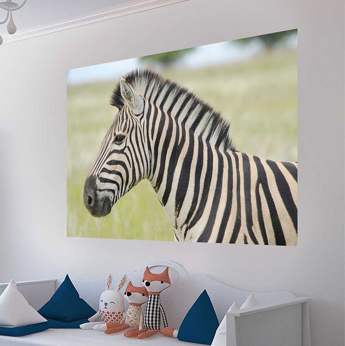 48x72 inch Zebra Profile Poster Displayed in Playroom
