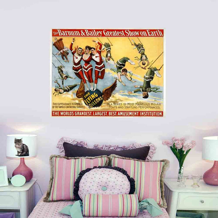 46.5x60 inch Flying Dillons Decal Installed in Bedroom