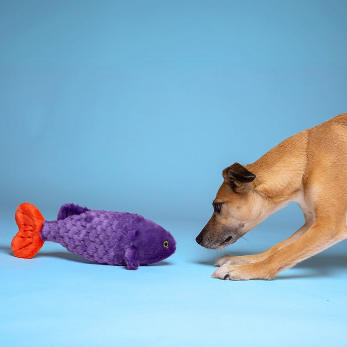 Dog playing with Cici Tropical Fish Plush Toy.