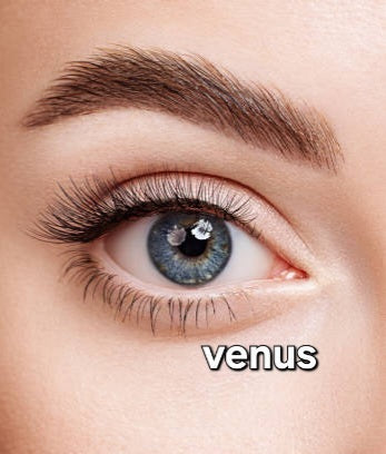 Venus curl C