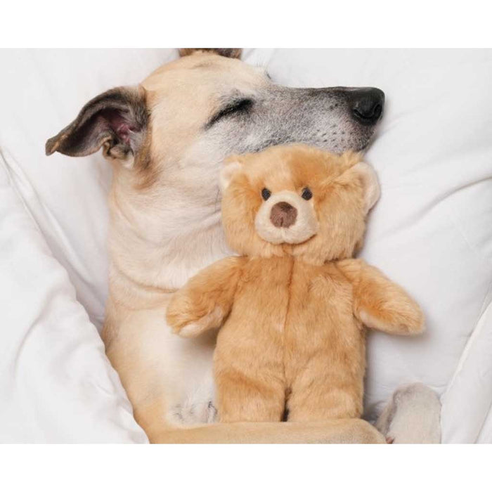 Dog with Mr. Honey Bear