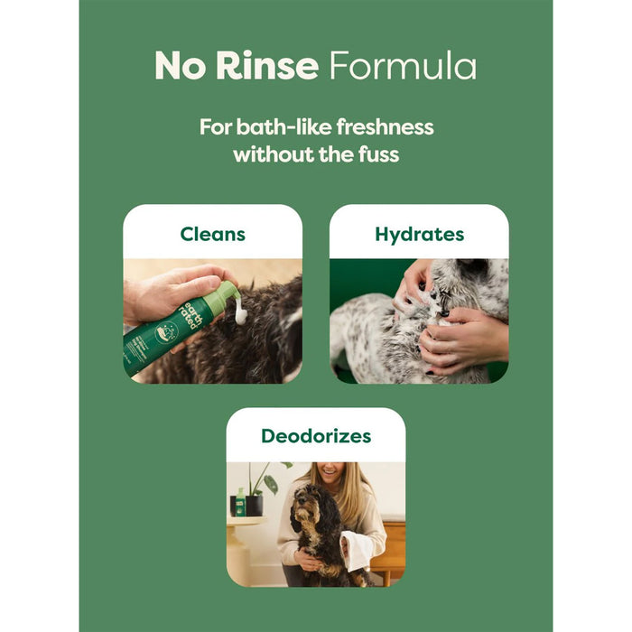 No rinse formula