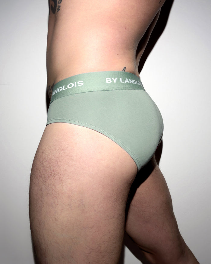 PERFECT FIT BRIEF IN RICH CLAY