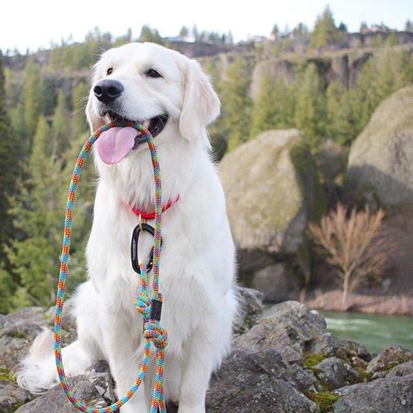Rope Leash Aprés