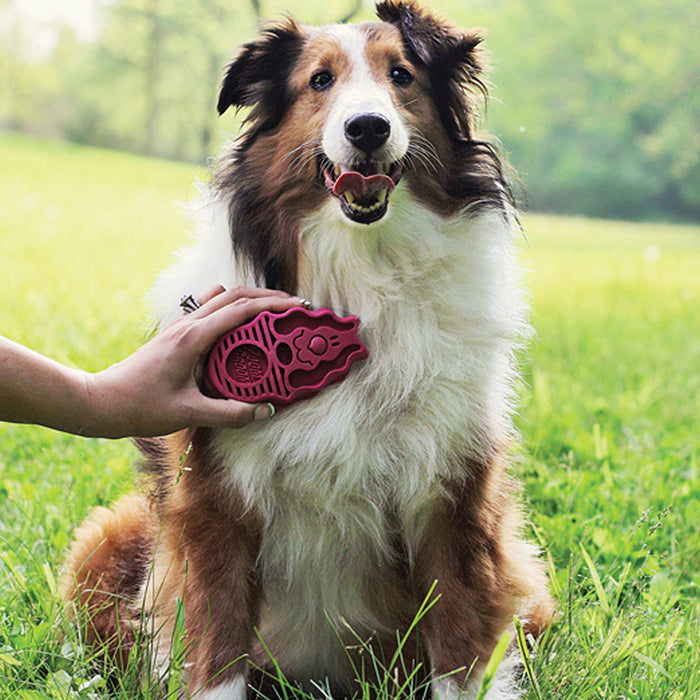 ZoomGroom Shampoo Brush