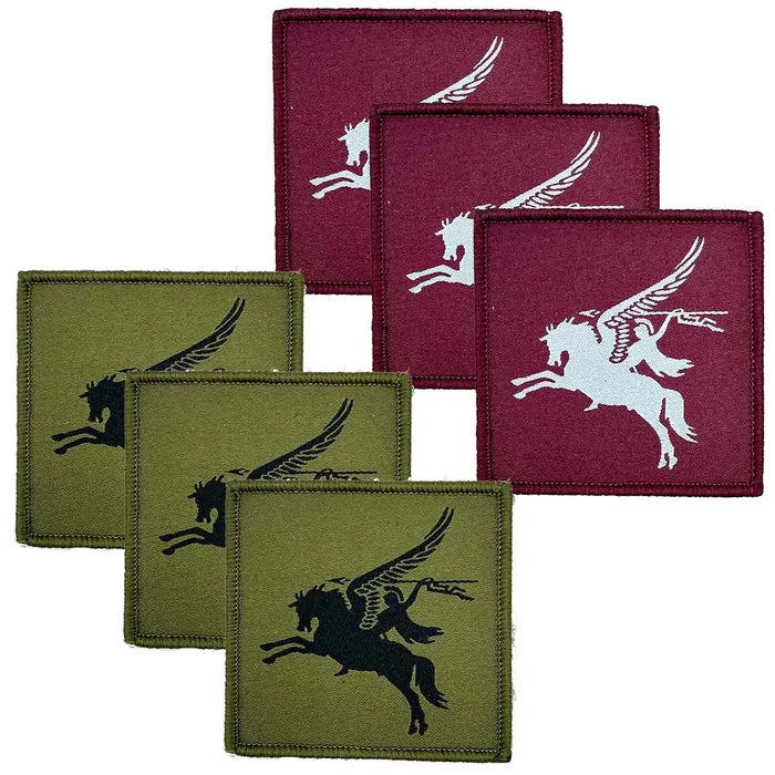 16 Air Assault (Pegasus) Brigade Hook & Loop Backing TRF - John Bull Clothing  from  John Bull Clothing