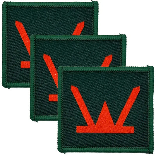 Set of three 160 Welsh Brigade TRF iron or sew on patches in green with red insignia, ideal for military uniforms from John Bull Clothing. Red (Coloured) from  John Bull Clothing