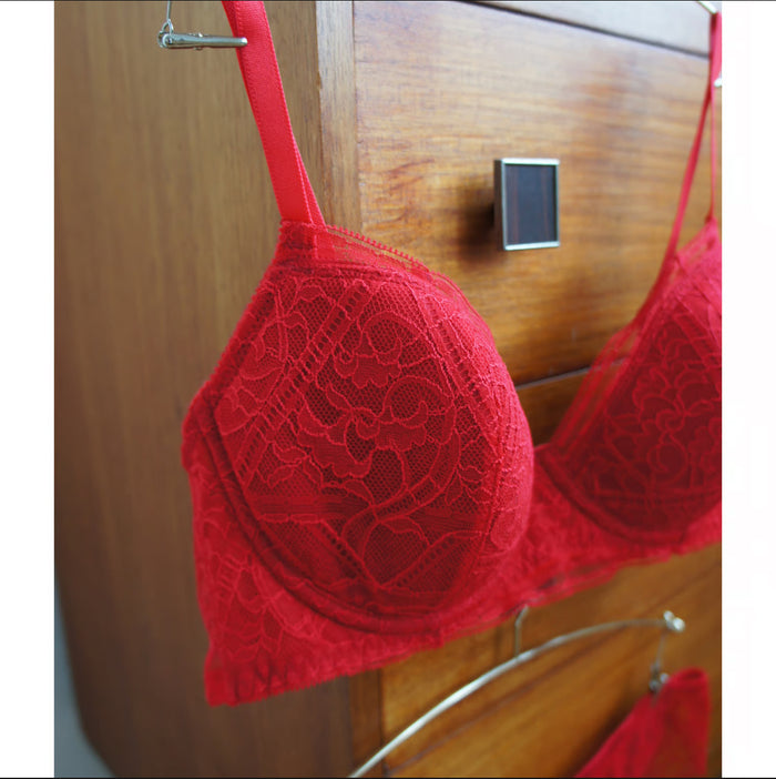 Amary 3/4 Cup Underwire Bra | Red
