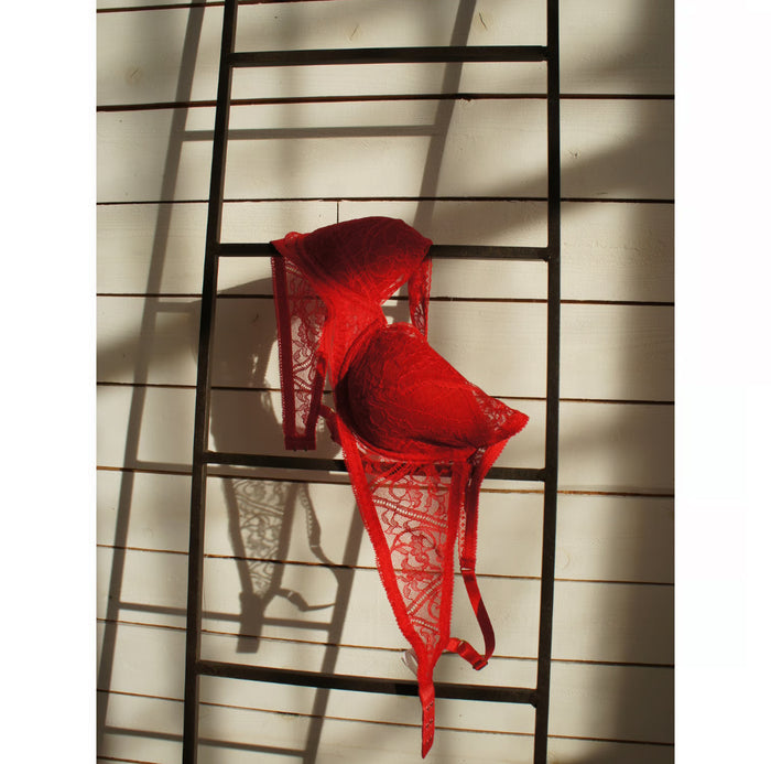 Amary Plunge Underwire Bra | Red