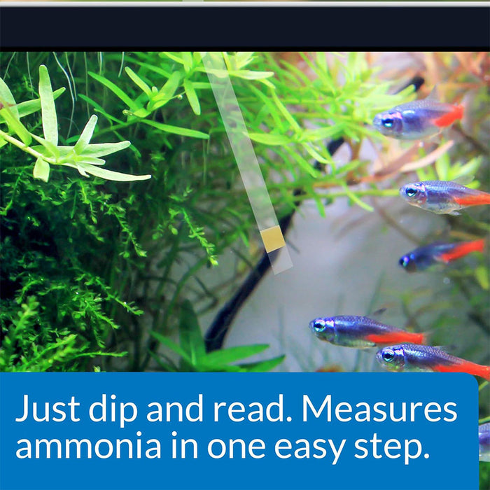 Ammonia Test Strips NH3/NH4 (Freshwater & Saltwater Aquariums) 25 count being used in an aquarium setup.