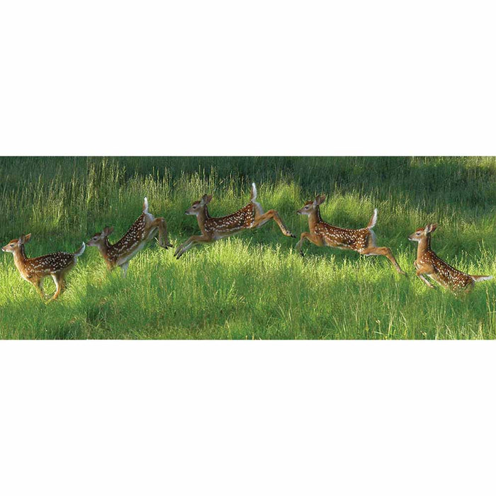 Poconos Fawn Jumping Panoramic Gloss Poster Printed | Wallhogs