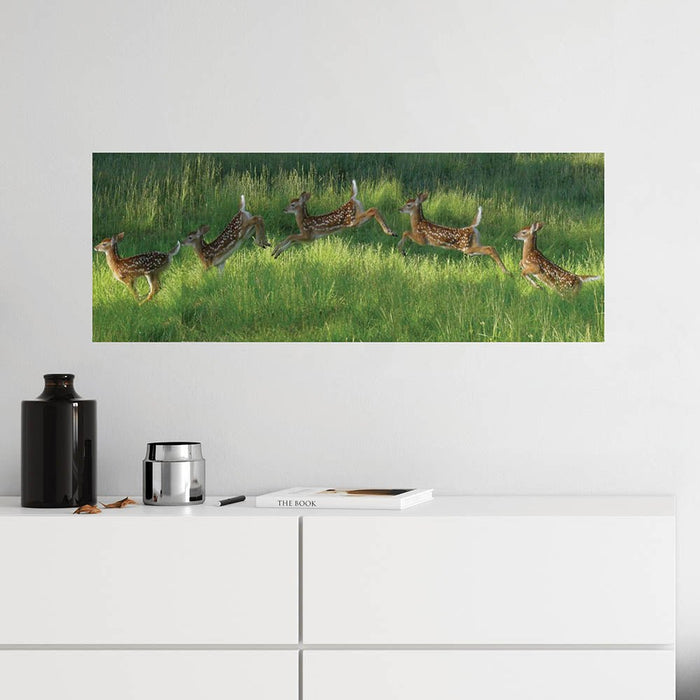 36 inch Poconos Fawn Jumping Panoramic Poster Installed Above Counter