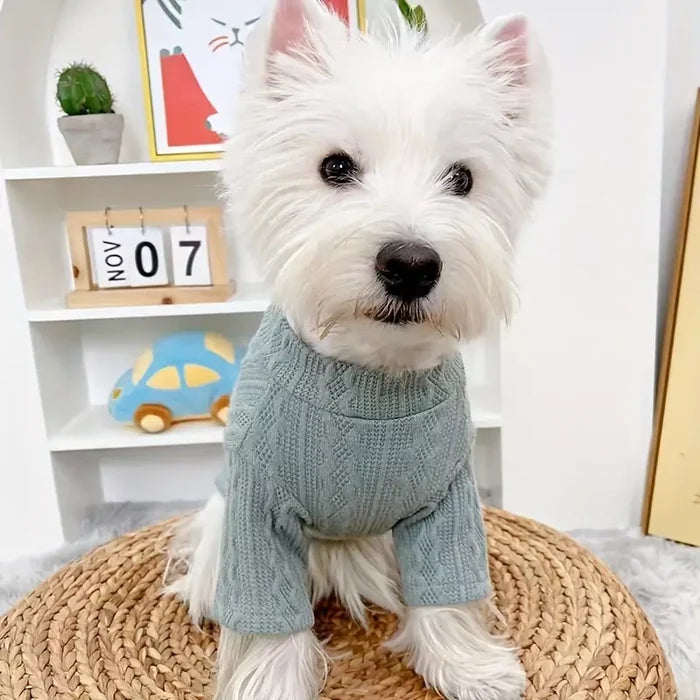 Archie Dog Sweater