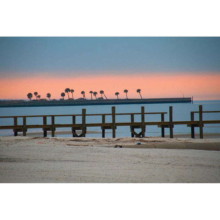 Palms Rising Beach Wall Decal Printed | Wallhogs