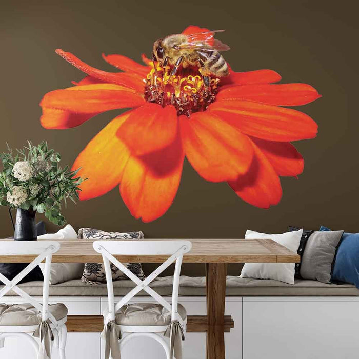 60 inch Pollen Nation Die-Cut Decal Installed in Dining Area