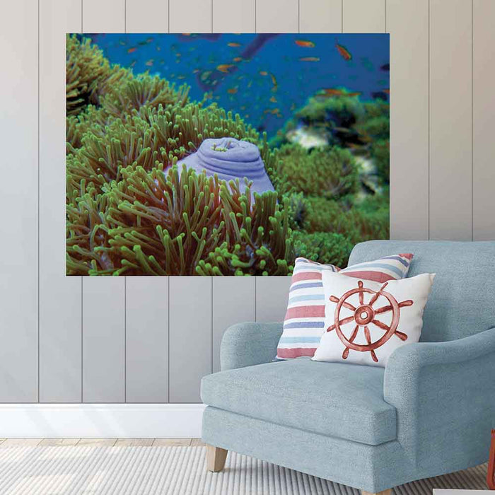 48 inch Suba Snack Sea bed Poster Displayed Above Chair