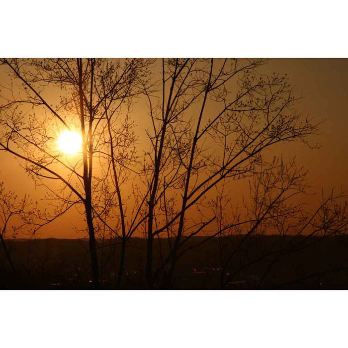 Sunset Wall Decal Printed | Wallhogs