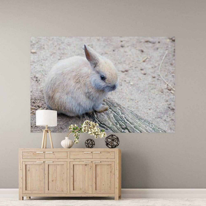 72 inch Baby Bunny Wall Decal Installed in Foyer
