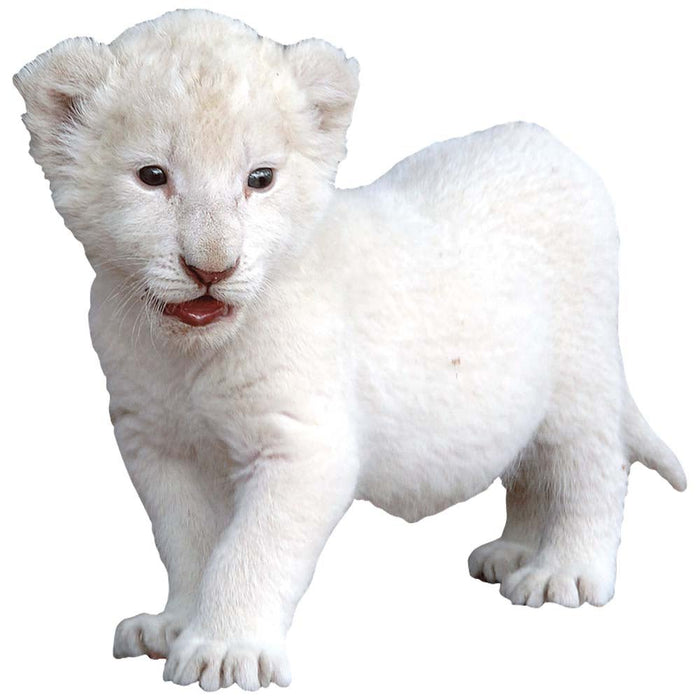 Baby Lion Cub Wall Decal Printed | Wallhogs