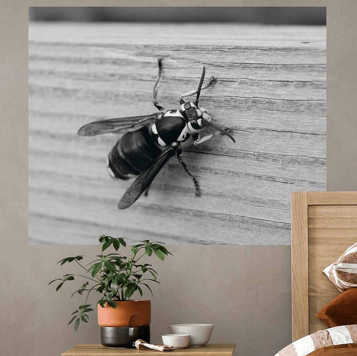19x24 Bee Wall Decal Installed Above Nightstand