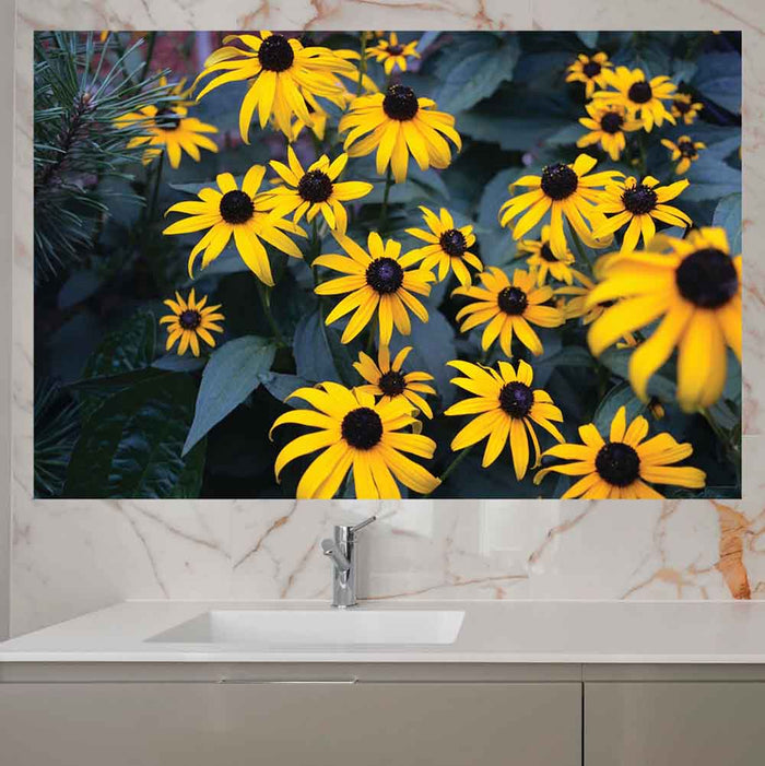 31.5x48 inch Bunch of Daisies Decal Installed Above Sink