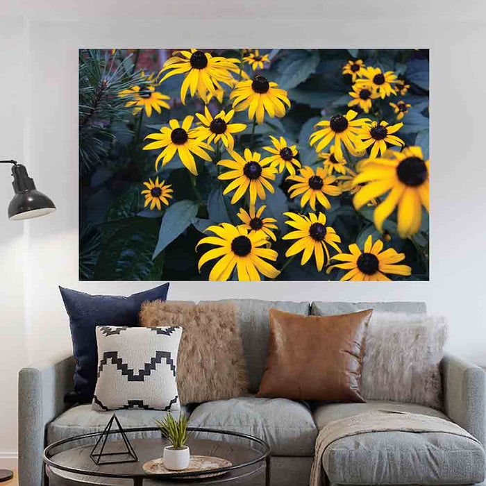 39.5x60 inch Bunch of Daisies Decal Installed Above Sofa