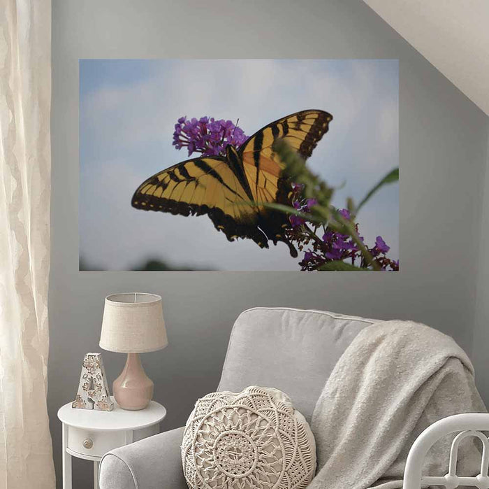 31.5x48 inch Butterfly Resting Poster Displayed Above Chair