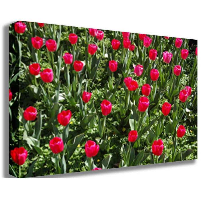 Flowers Canvas Printed | Wallhogs