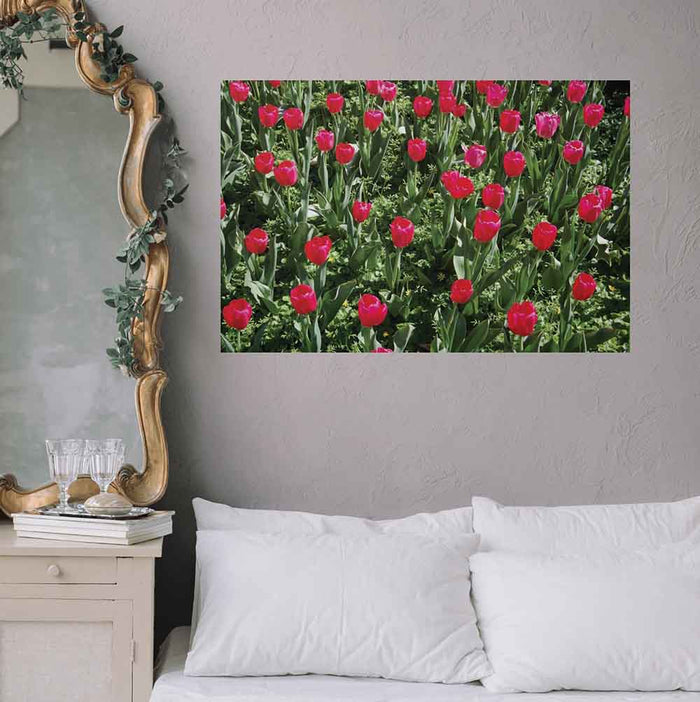 24x36 inch Flowers Poster Displayed Above Bed