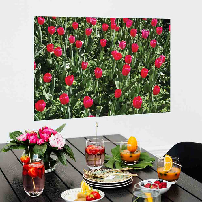 32x48 inch Flowers Poster Displayed in Dining Area