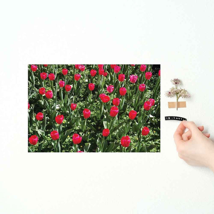 16x24 inch Flowers Decal Installed on Wall