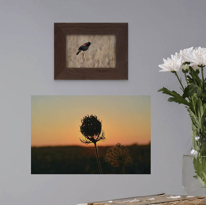 16x24 inch Sunset Flower Poster Displayed on Wall