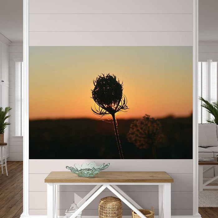 39.5x60 inch Sunset Flower Poster Displayed Above bench