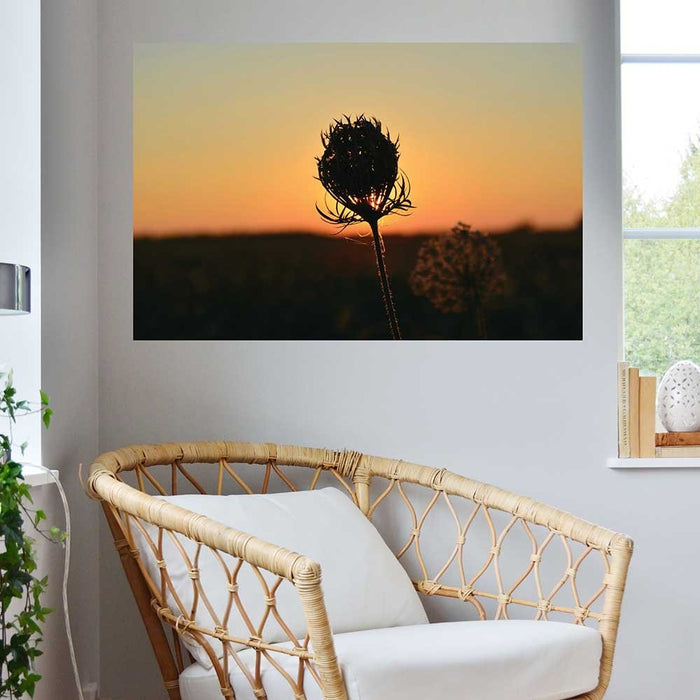 24x36 inch Sunset Flower Decal Installed Above Chair