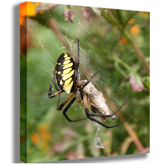 Feeding Time Canvas Printed | Wallhogs