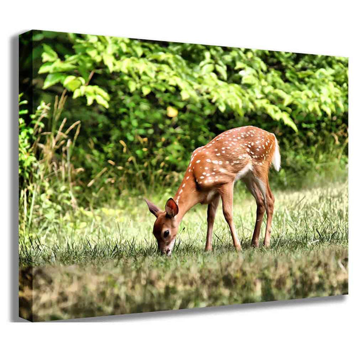 Grazing Fawn Canvas Printed | Wallhogs