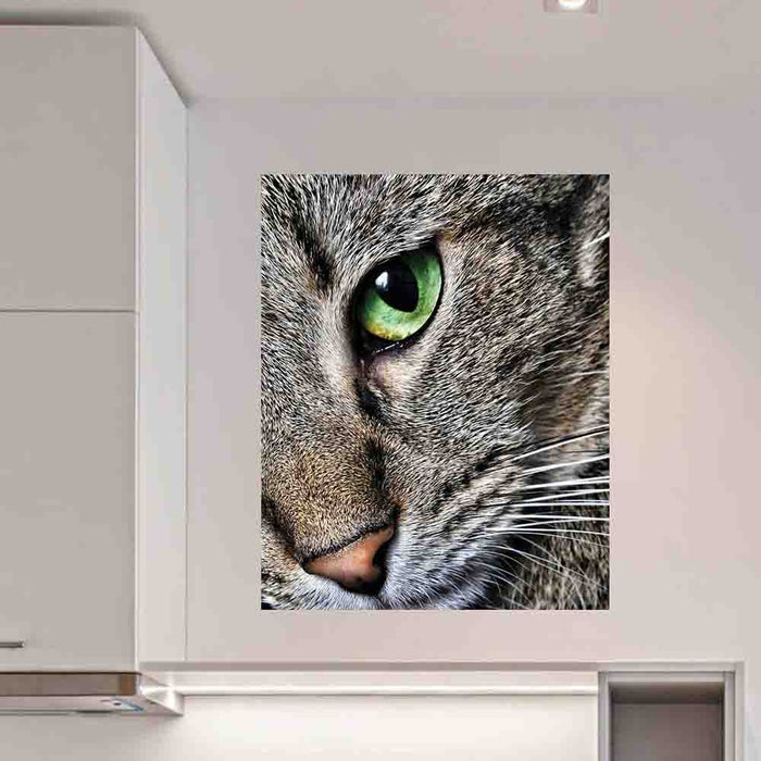 28.5x36 Max Close  Up Cat Poster Displayed by Cabinet