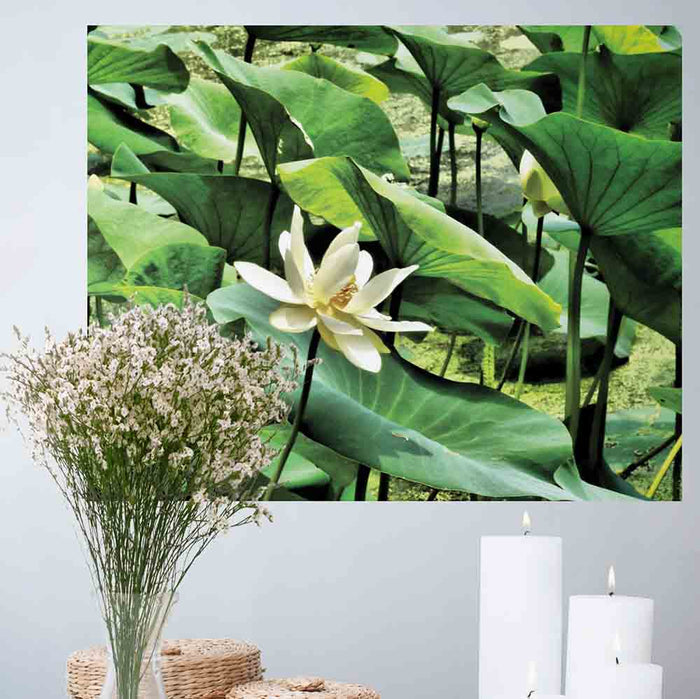 19x24 inch Pond Flower Poster Displayed by Candles