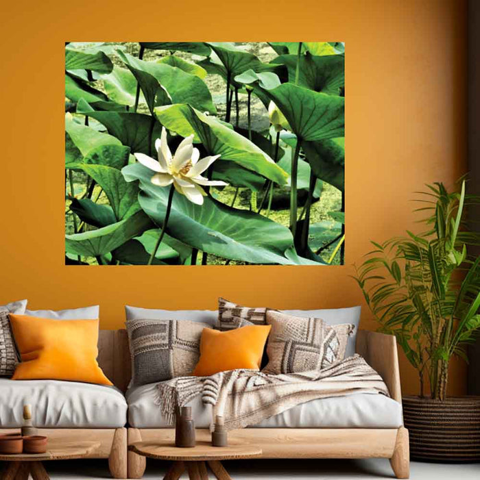 38.5x48 inch Pond Flower Poster Displayed Above Couch