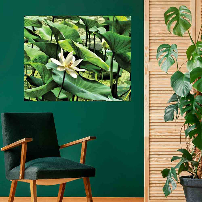 28.5x36 inch Pond Flower Decal Installed Above Chair