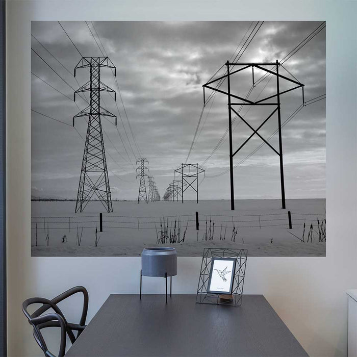 48x60 inch Power Lines Decal Installed Above Desk