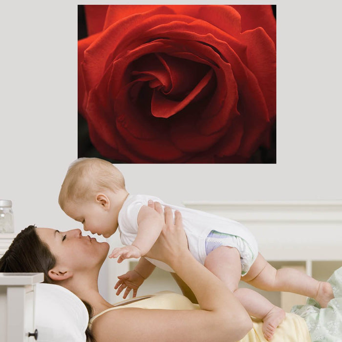 19x24 Rose Decal Installed in Nursery